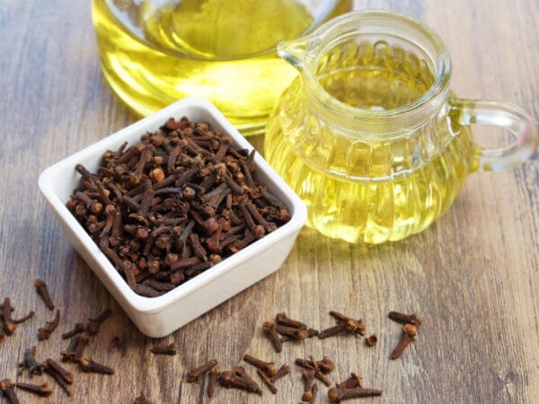 লবঙ্গ তেল-  Clove Oil